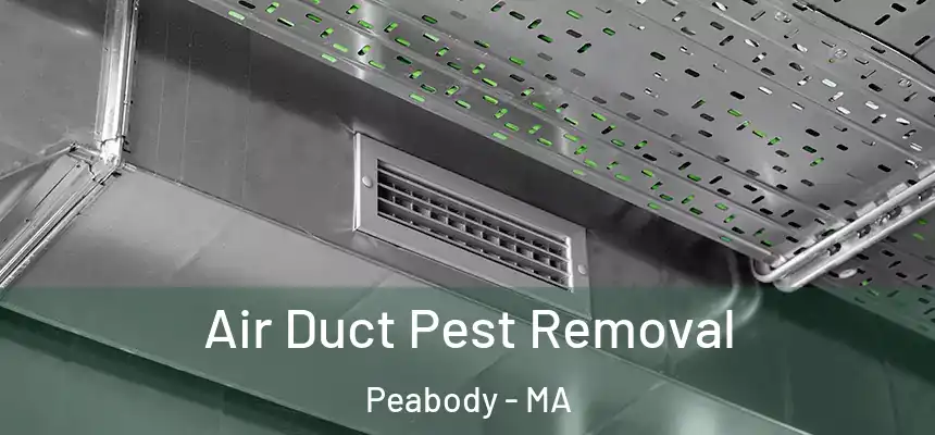  Air Duct Pest Removal Peabody - MA