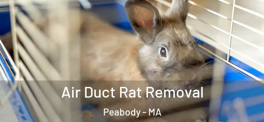  Air Duct Rat Removal Peabody - MA