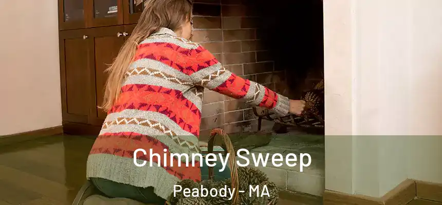 Chimney Sweep Peabody - MA