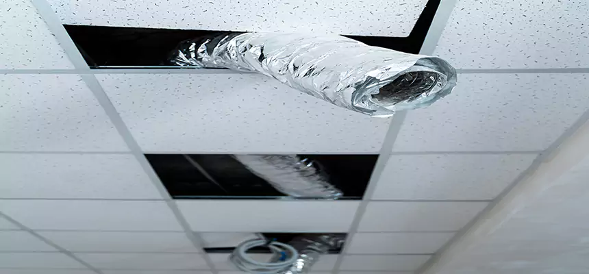 Affordable HVAC Sanitizing After Pest Removal in Peabody