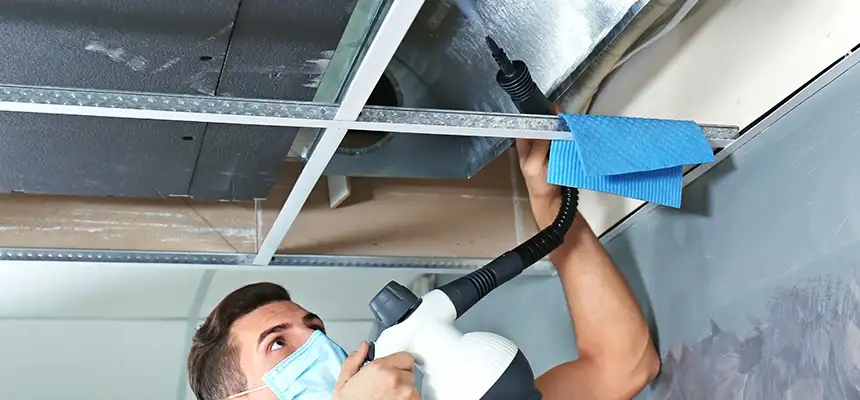 Our Air Duct Rodent Removal Services in Peabody, MA