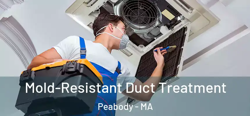  Mold-Resistant Duct Treatment Peabody - MA