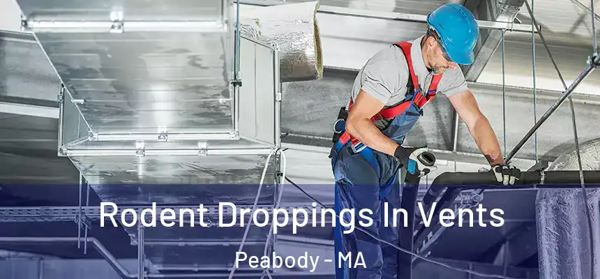  Rodent Droppings In Vents Peabody - MA