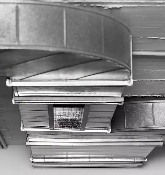 Professional Air Duct Pest Removal in Peabody, MA