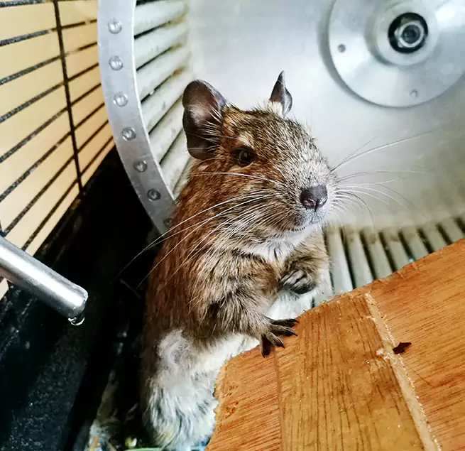 Why Homeowners & Businesses Trust Us Peabody, MA