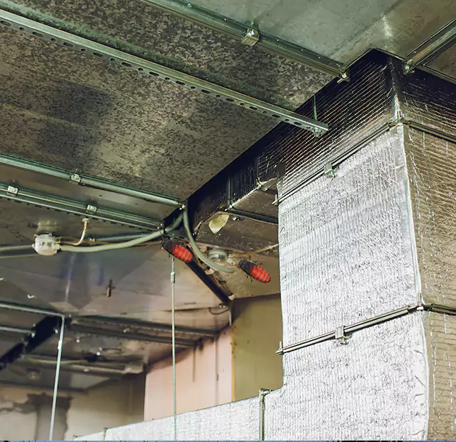 Why Homeowners & Businesses Trust Us Peabody, MA?