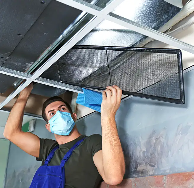 Why Homeowners & Businesses Trust Us in Peabody, MA?